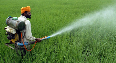 Rewriting India’s Pesticide Law