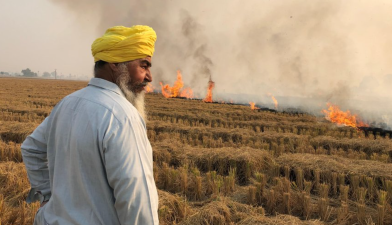 Punjab’s Grain Paradox