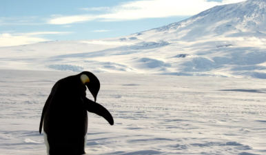 China’s Antarctic Law Push