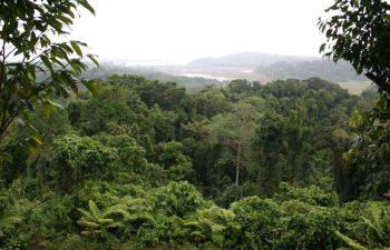 Great Nicobar: Development or Dispossession?