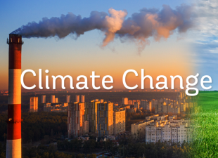 Global Climate Governance at a Standstill