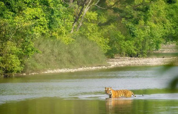 India’s Biodiversity Conservation Framework