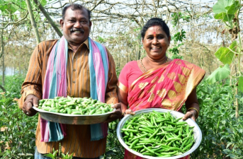 Andhra Pradesh Community Managed Natural Farming