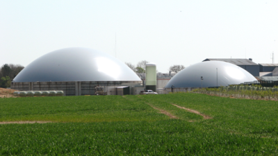 Biogas Policy and Energy Security