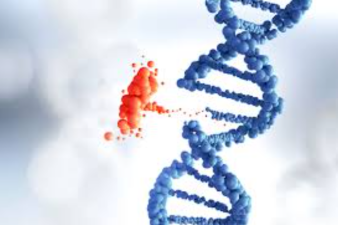 Genetics and Disease Risk