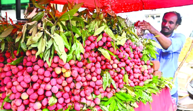 GI-Tagged Tezpur Litchi Export