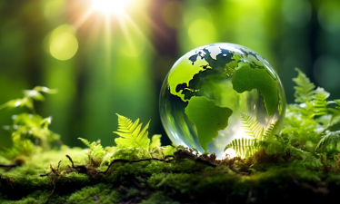 India’s Environmental Conservation Initiatives