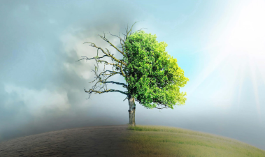 India’s Environmental Transformation and Climate Initiatives