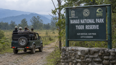 Manas National Park Zero Rhino Tiger Poaching