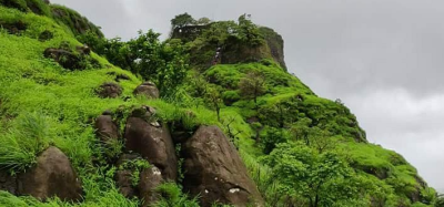 Private Forest Diversion at Karnala