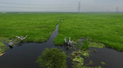Ramsar Site Surha Tal Designation