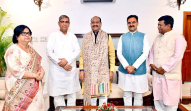 Role of Legislatures in Nation Building