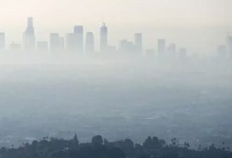 Surface Ozone and Heatwaves Increase Cardiac Deaths
