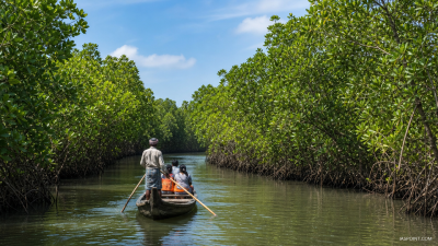 Economic Valuation of Blue Carbon Ecosystems