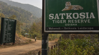Satkosia Tiger Reserve Tiger Reintroduction Plan